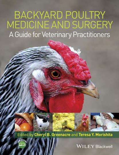 Группа авторов - Backyard Poultry Medicine and Surgery