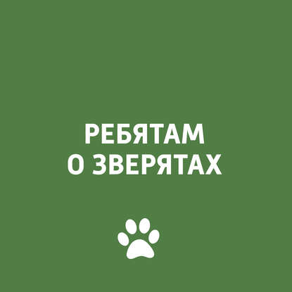 

Мочекаменная болезнь у котов