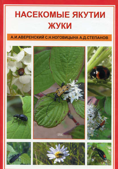 

Насекомые Якутии. Жуки