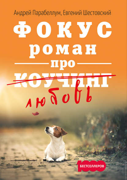 

Фокус. Бизнес-роман про коучинг