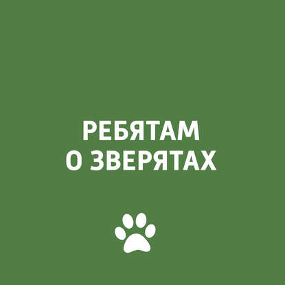 

Психология собаки