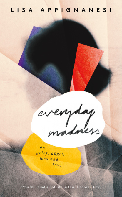 Everyday Madness: On Grief, Anger, Loss and Love - Lisa  Appignanesi