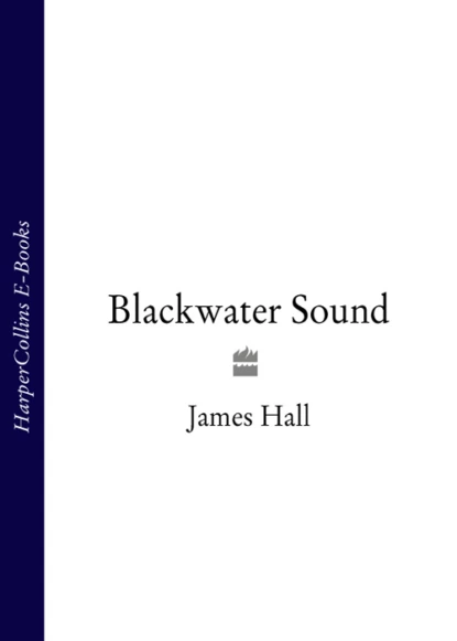 Обложка книги Blackwater Sound, James  Hall