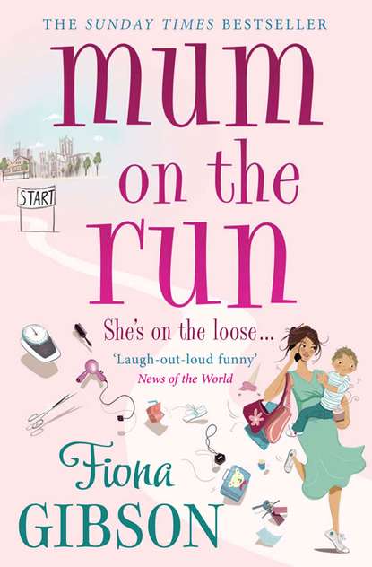 Fiona  Gibson - Mum On The Run