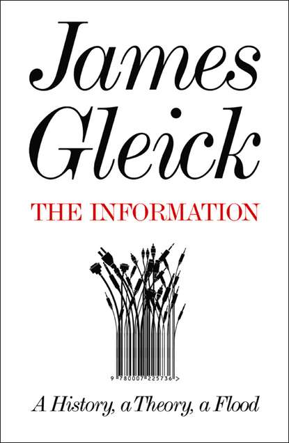 James  Gleick - The Information: A History, a Theory, a Flood