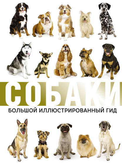 М. Д. Филиппова - Собаки. Большой иллюстрированный гид