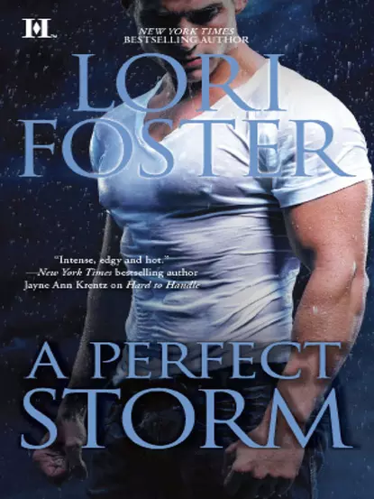 Обложка книги A Perfect Storm, Lori Foster