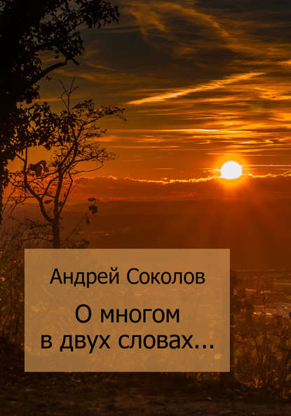 Андрей Соколов — О многом в двух словах…