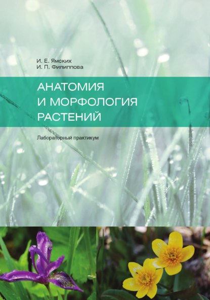 И. Филиппова Анатомия и морфология растений