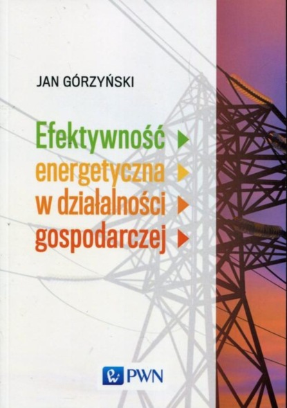 Jan Górzyński - Efektywność energetyczna w działalności gospodarczej