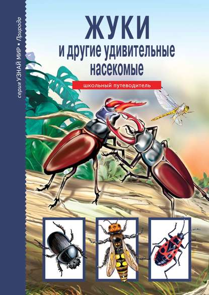 Сергей Афонькин — Жуки и другие удивительные насекомые