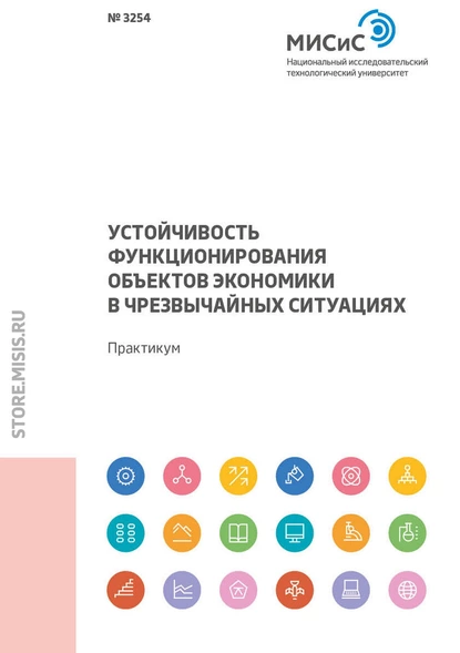 Обложка книги Устойчивость функционирования объектов экономики в чрезвычайных ситуациях, Н. А. Смирнова