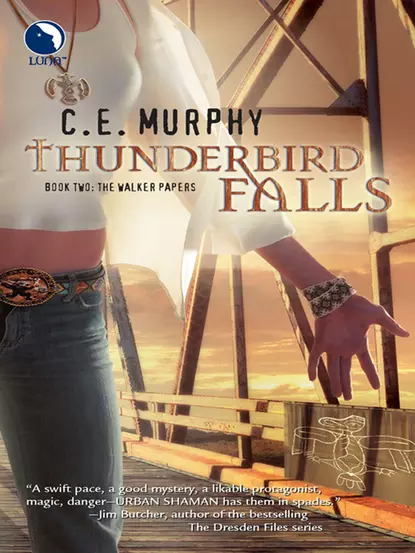 Обложка книги Thunderbird Falls, C.E.  Murphy