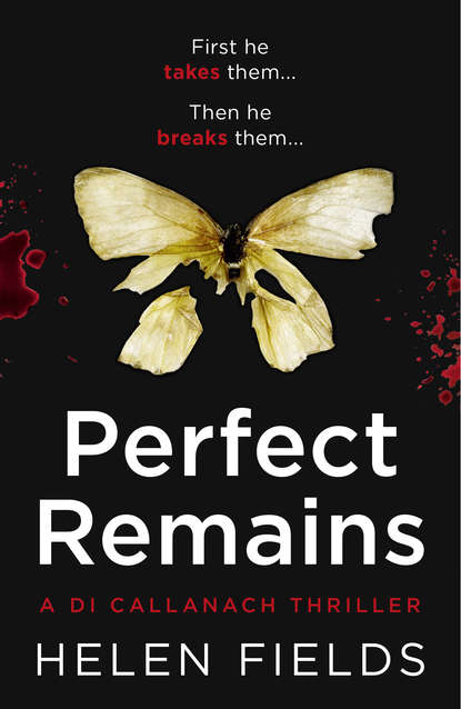 Helen  Fields - Perfect Remains: A gripping thriller that will leave you breathless