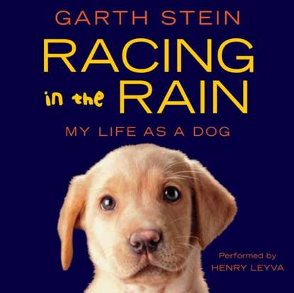 Garth  Stein - Racing in the Rain