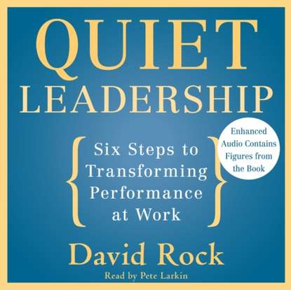 David Rock - Quiet Leadership