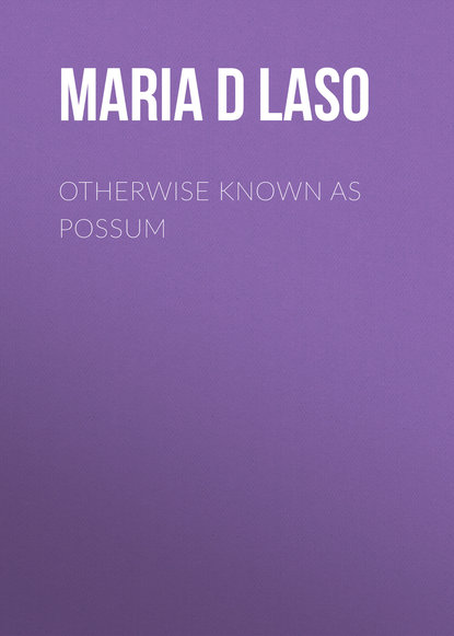 Maria D Laso — Otherwise Known as Possum