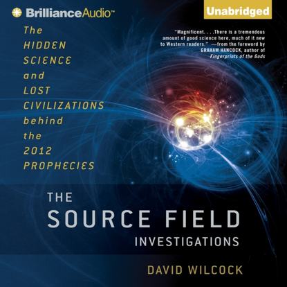 David Wilcock — Source Field Investigations