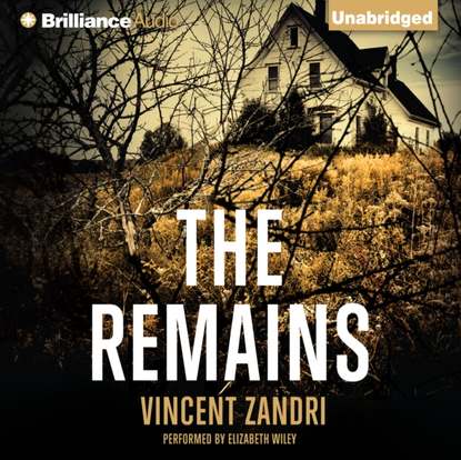 Vincent Zandri — Remains