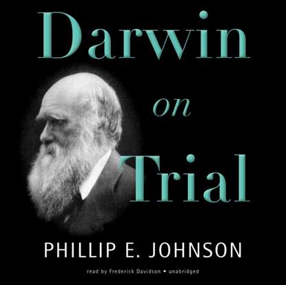 Ксюша Ангел - Darwin on Trial