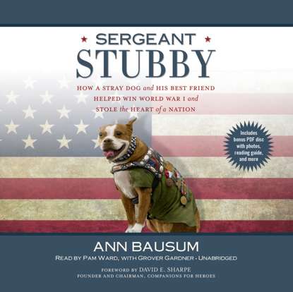 

Sergeant Stubby