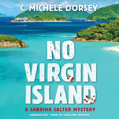 C. Michele Dorsey — No Virgin Island