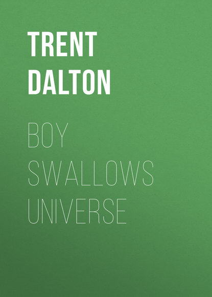 

Boy Swallows Universe