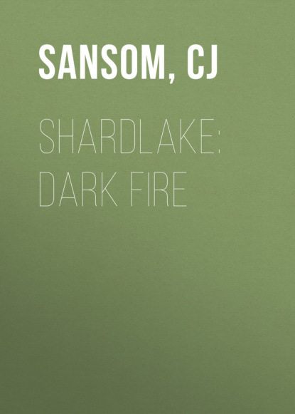 Кристофер Джон Сэнсом — Shardlake: Dark Fire