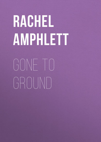 Rachel Amphlett — Gone to Ground