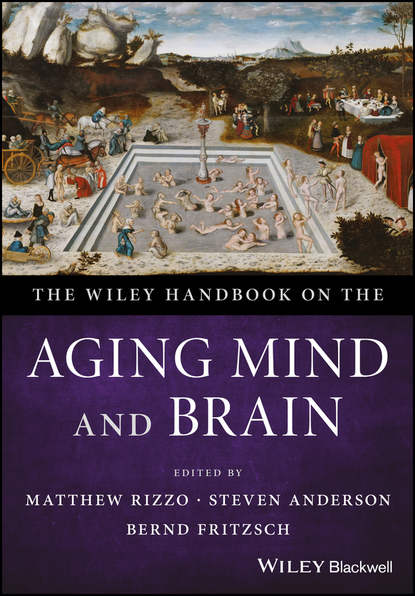 The Wiley Handbook on the Aging Mind and Brain - Steven  Anderson