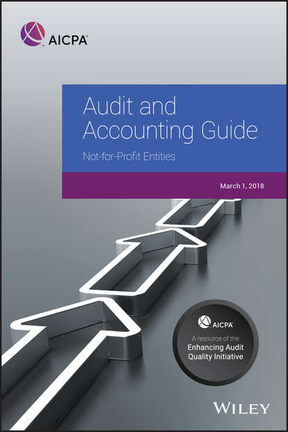 Группа авторов - Auditing and Accounting Guide
