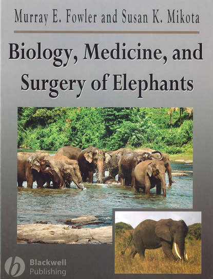 Murray  Fowler - Biology, Medicine, and Surgery of Elephants