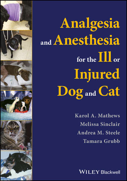 Melissa  Sinclair - Analgesia and Anesthesia for the Ill or Injured Dog and Cat