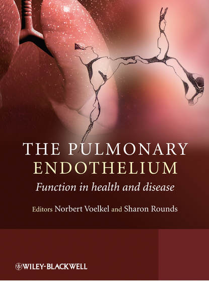 The Pulmonary Endothelium - Norbert  Voelkel