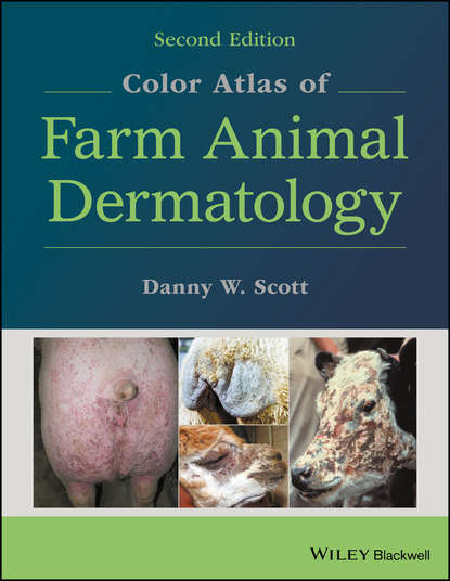 Группа авторов - Color Atlas of Farm Animal Dermatology