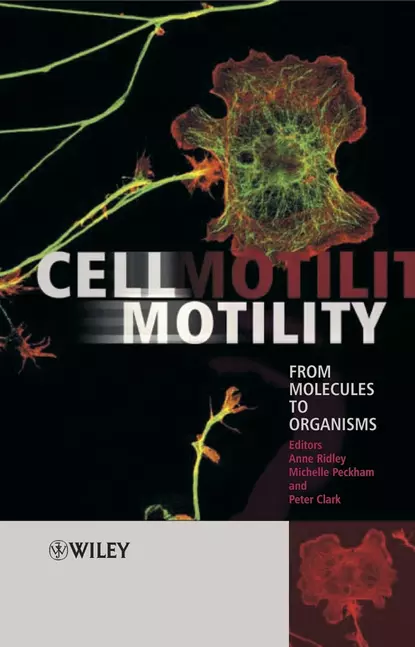 Обложка книги Cell Motility, Peter  Clark