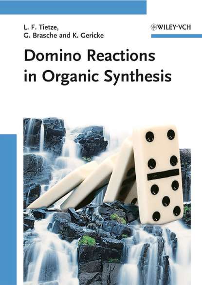 Domino Reactions in Organic Synthesis (Gordon  Brasche). 