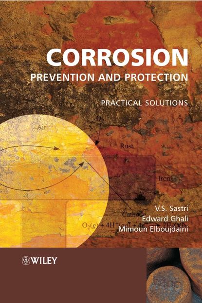 Edward  Ghali - Corrosion Prevention and Protection