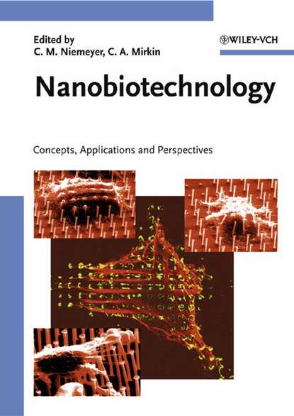 Nanobiotechnology (Chad Mirkin A.). 