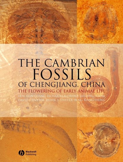 Jan  Bergstrom - The Cambrian Fossils of Chengjiang, China
