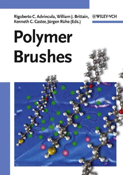 Polymer Brushes - Kenneth Caster C.