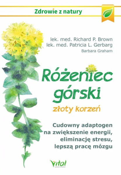 

Różeniec górski - złoty korzeń