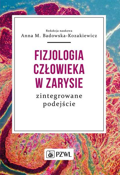 Группа авторов - Fizjologia człowieka w zarysie