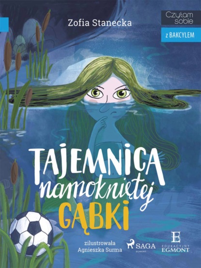 

Tajemnica namokniętej gąbki