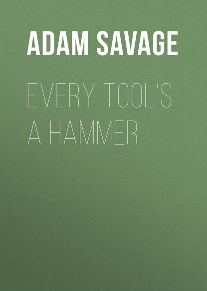 Every Tool s a Hammer