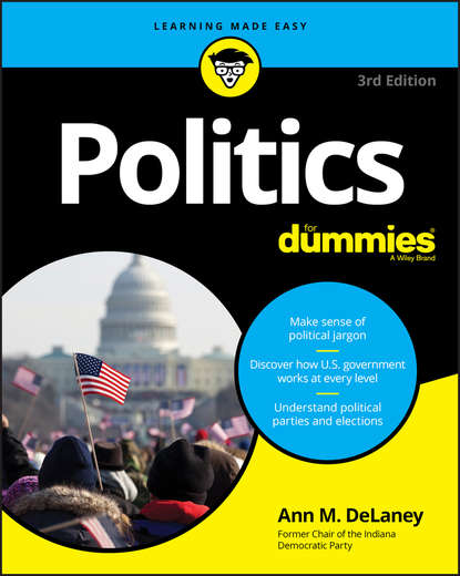 Ann M. DeLaney - Politics For Dummies