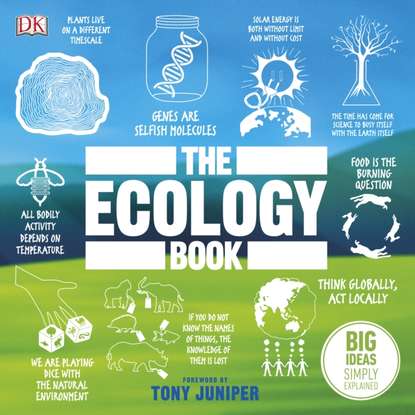 Ксюша Ангел - Ecology Book