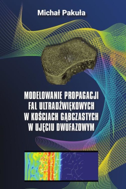 Michał Pakuła - Modelowanie propagacji fal ultradźwiękowych w kościach gąbczastych w ujęciu dwufazowym