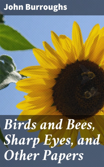 John Burroughs - Birds and Bees, Sharp Eyes, and Other Papers