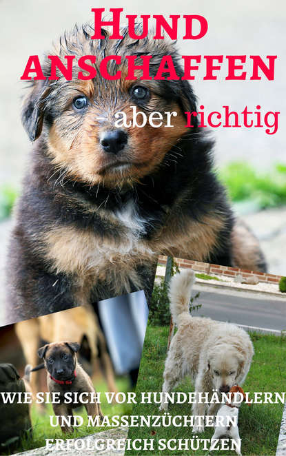 

Hund anschaffen aber richtig